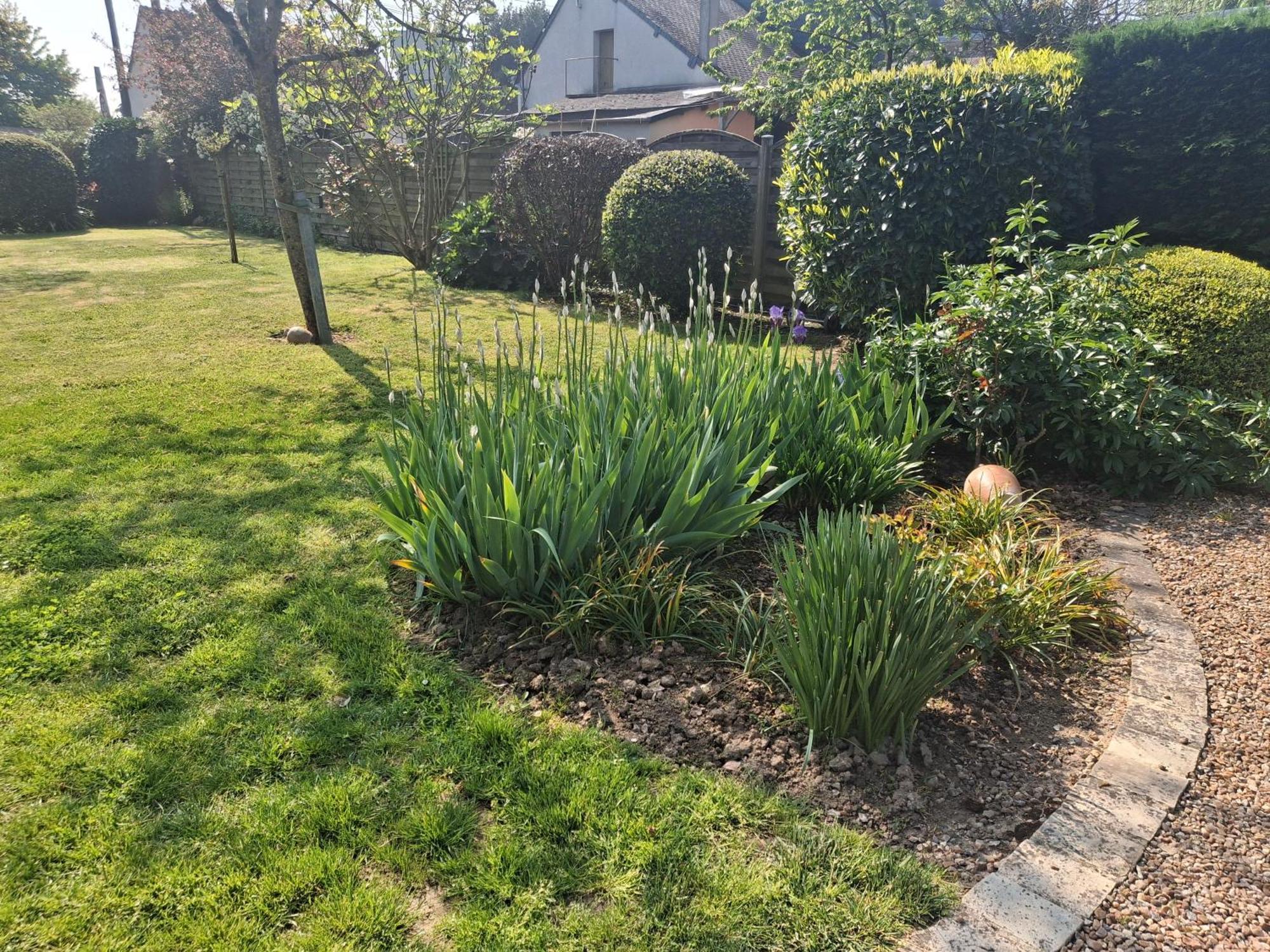 Bed and Breakfast Les Jarrieres Dame-Marie-les-Bois Esterno foto